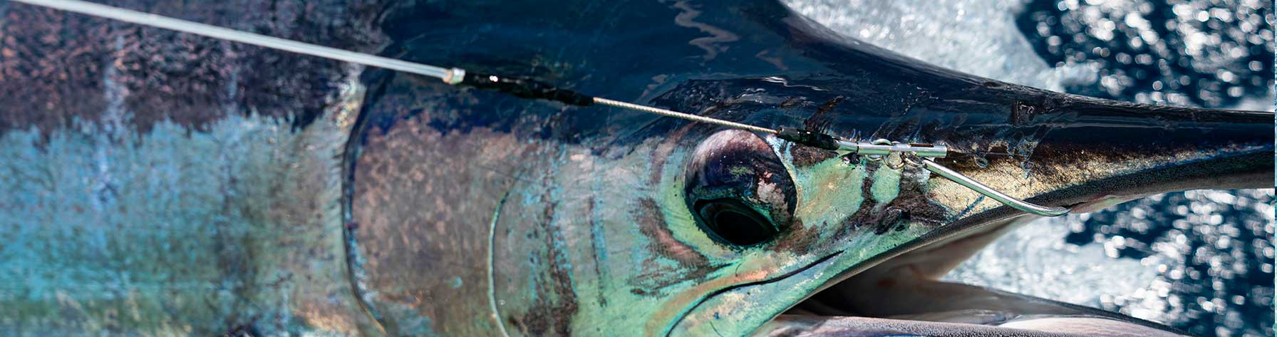 FUDO Standard Tuna Ringed Eye Hook – Capt. Harry's Fishing Supply